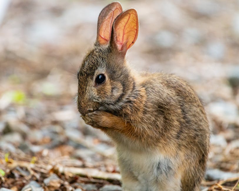 Bihar Assembly Elections 2023: BJP and Tejashwi Yadav Battle for Supremacy in Patriarchs’ Twilight