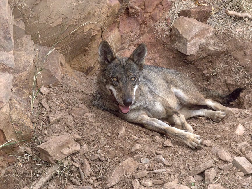Every Inch of Pakistan’s Territory Now Within BrahMos Reach: Rajnath Singh