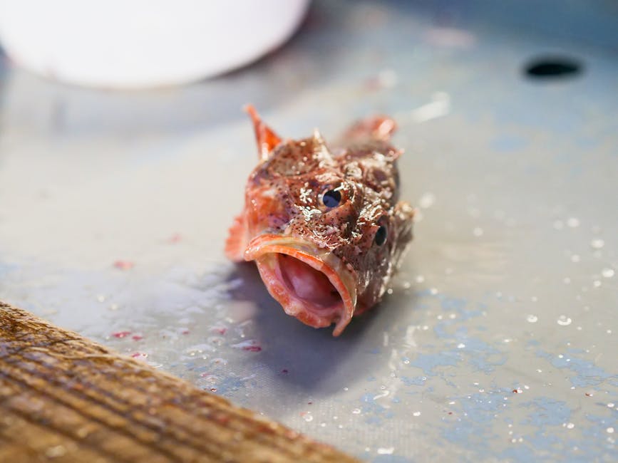 Trump’s “National Police Force” Plan: ICE Partners With Wildlife Commissions?