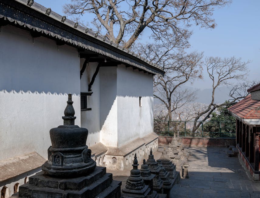 Bipin Joshi: Body of Nepali Student Held in Gaza Returned to Kathmandu After 8-Month Wait