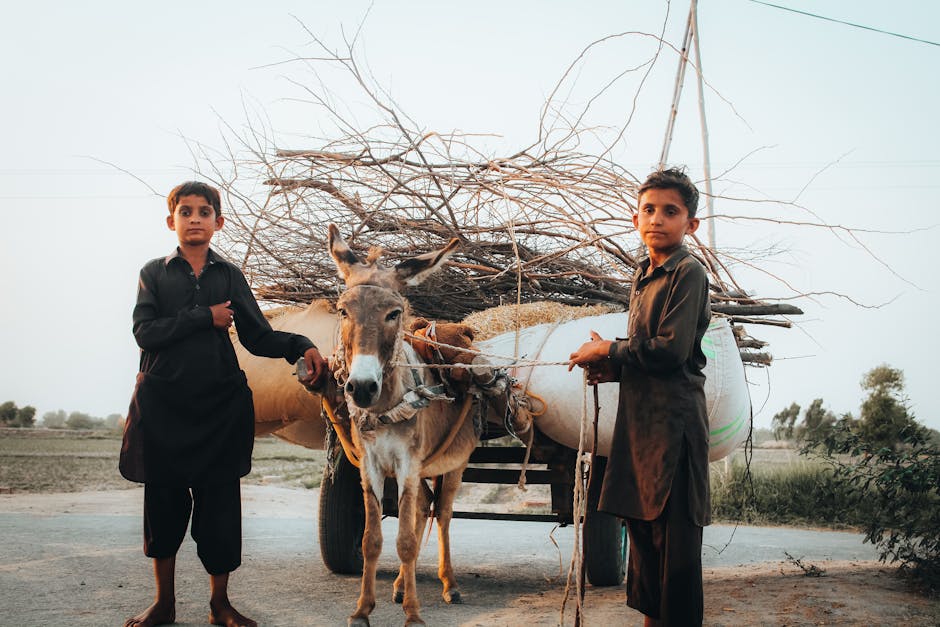 Muthusamy and Rabada’s Gritty Stand Stuns Pakistan in Thrilling Test Match