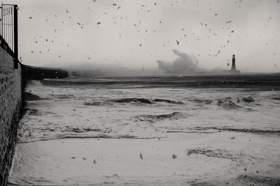 Australia Teaches ‘Different’ England a Harsh & Familiar Ashes Lesson