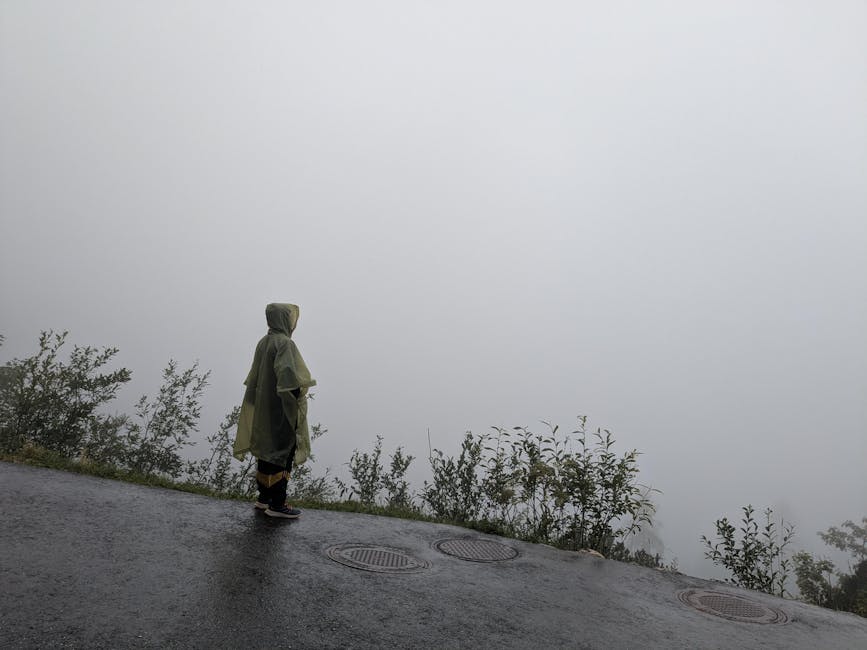 Tamil Nadu Weather: Why Major Systems Missed the State, Causing Isolated Heavy Rain