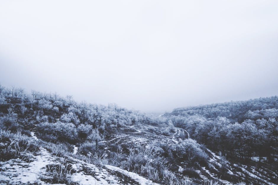 **Must-Watch Documentary Reveals How Bush Senior Failed on Climate Crisis**