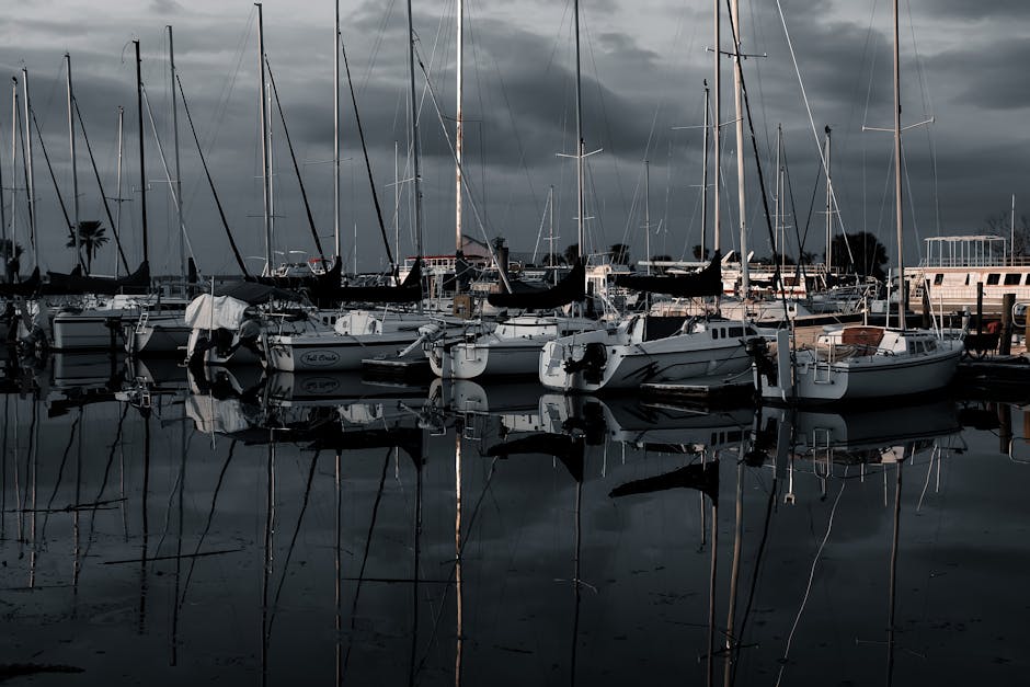 Sarah Pochin’s Anti-Woke Couch Crusade: Free Speech or Furniture Fiasco? | Marina Hyde**  

### **