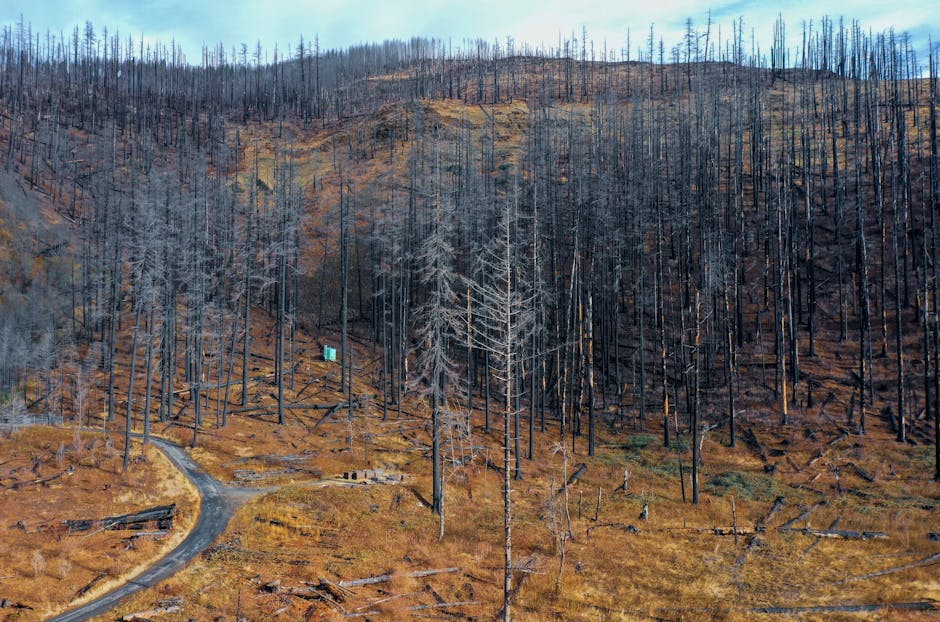 Israel Resumes Truce After Gaza Reports 104 Dead in Renewed Strikes**  

**