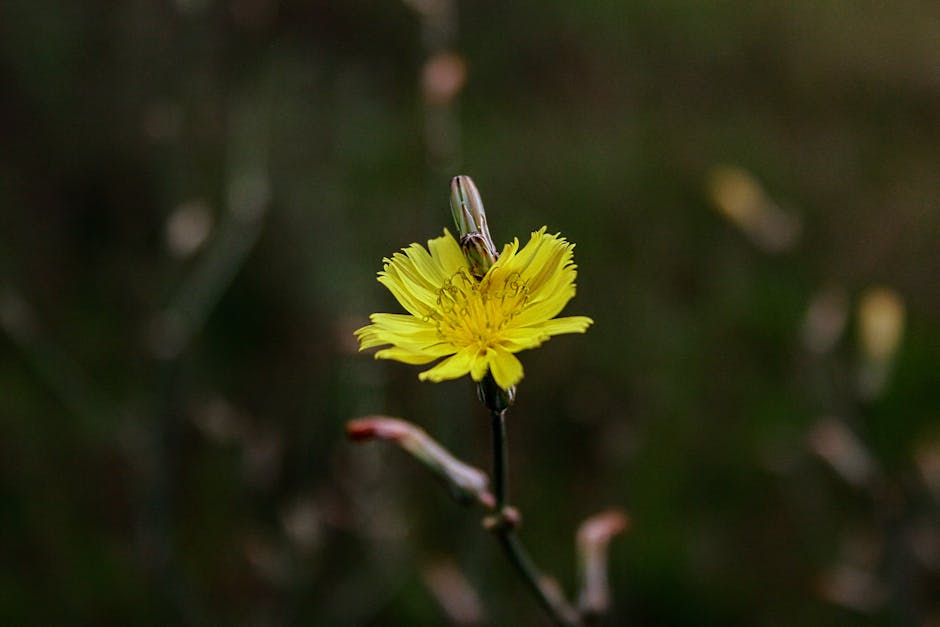 ‘Only The Almighty Knows’: Rajnath Singh on Pakistan’s Unpredictable Future