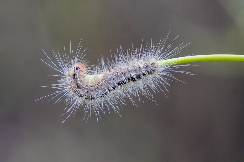 Bihar Polls 2024: Mokama, Tejashwi & Tej in Phase 1 Battle – 121 Seats Decided