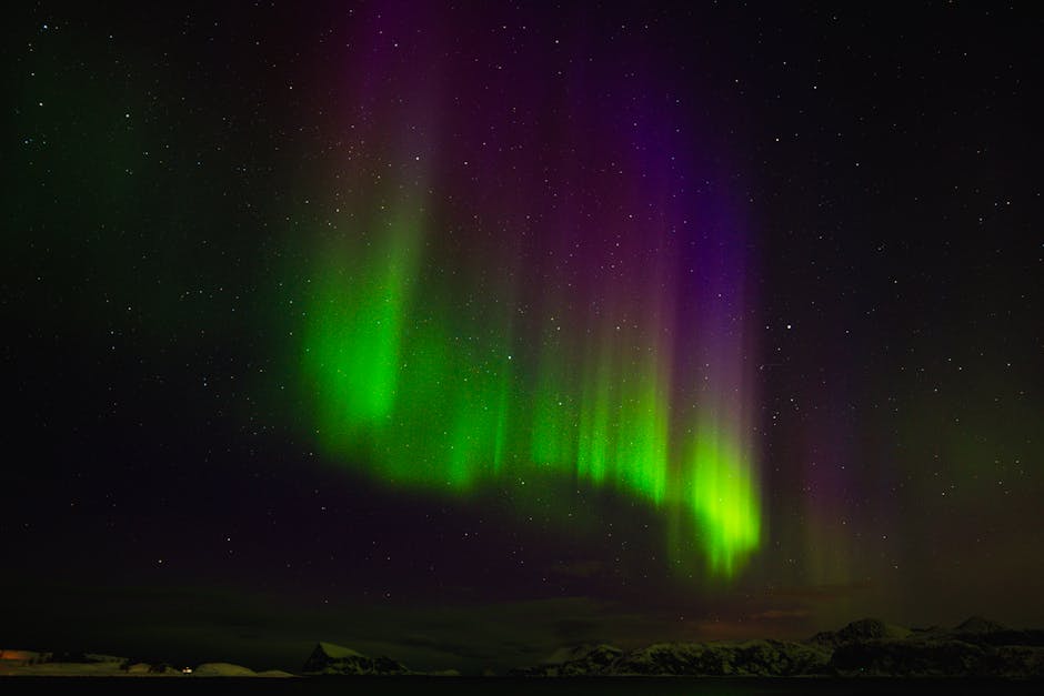 Inside Kalshi HQ on Election Night: Where Every Vote Has a Price