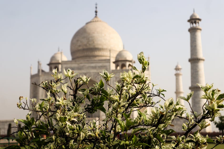 Oppo Find X9 Series Launch Date in India: November 18, Specs, Price & Features