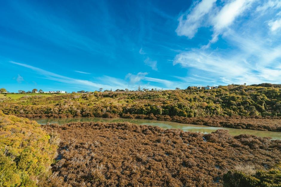 **Why Was Ja Morant Suspended? What’s Next for the Grizzlies Star?**