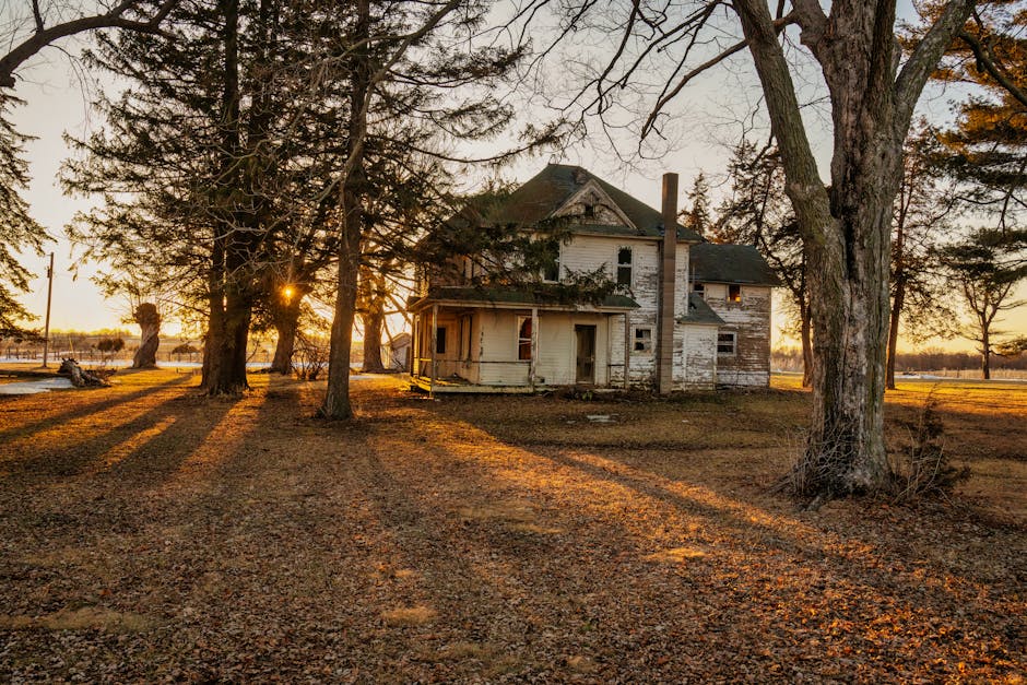 Who Was James Watson? DNA Pioneer & Nobel Prize Winner Dies at 97