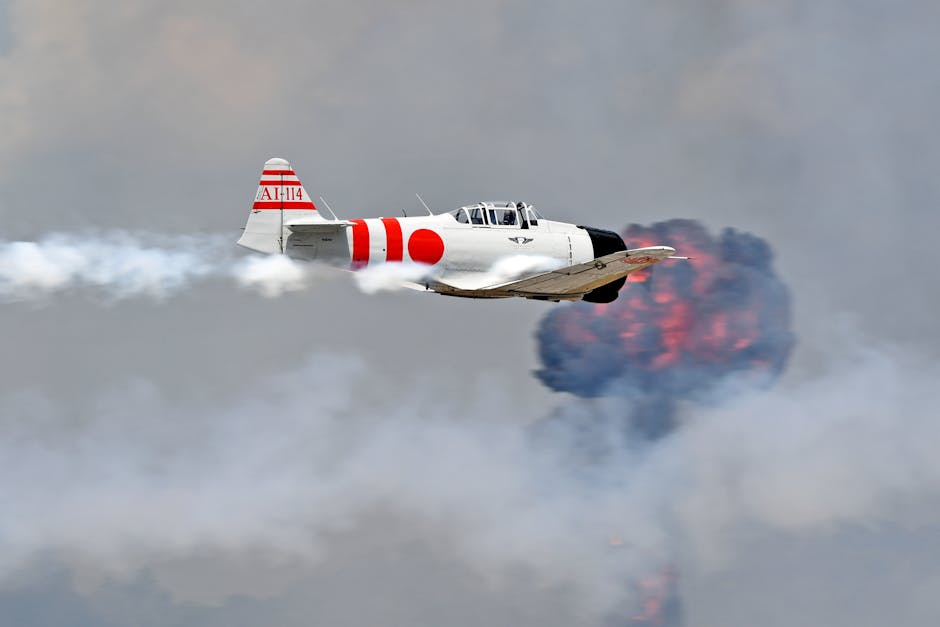 **Trump Claims “Zero Illegal Aliens” Released in US for 6 Months—Fact or Fiction?**