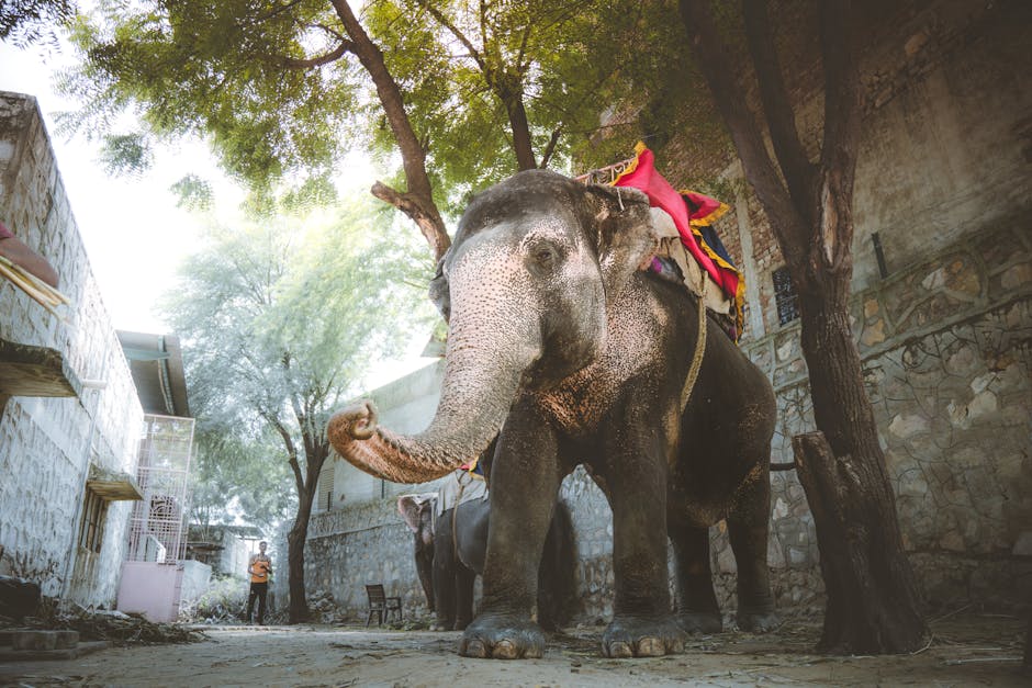 **Russian Bombardment Triggers Massive Blackouts in Ukraine’s Major Cities**