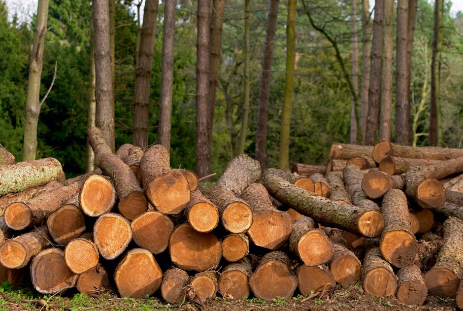 **Is Dharmendra Dead or Alive? Latest Updates on His Health & Breach Candy Hospital Rumors**