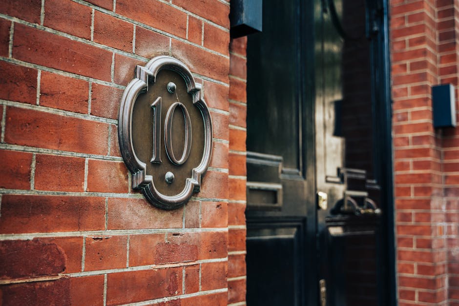 George Ford Returns at Fly-Half for England vs All Blacks – Key Tactical Shift