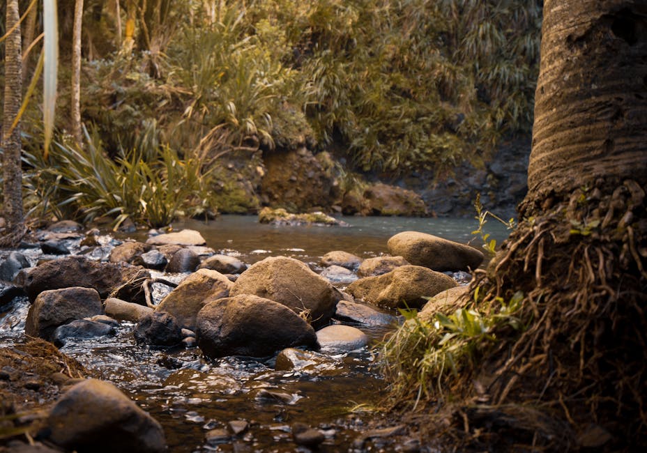 Justin Bieber Previews New Music, Admits Feeling ‘Vulnerable As Hell’ in Candid Twitch Stream