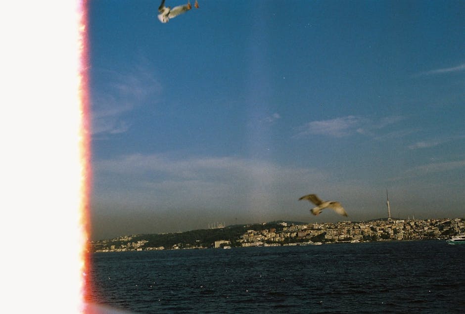 Hema Malini Called Shah Rukh Khan ‘Ugly’, Paid Him Rs 50,000 for This Flop Film