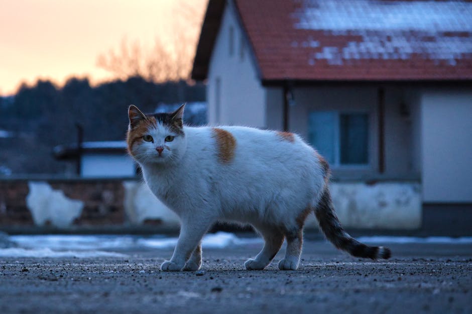 **Trump’s Epstein Ties: His One Vulnerability Amid Endless Scandals | Jonathan Freedland**