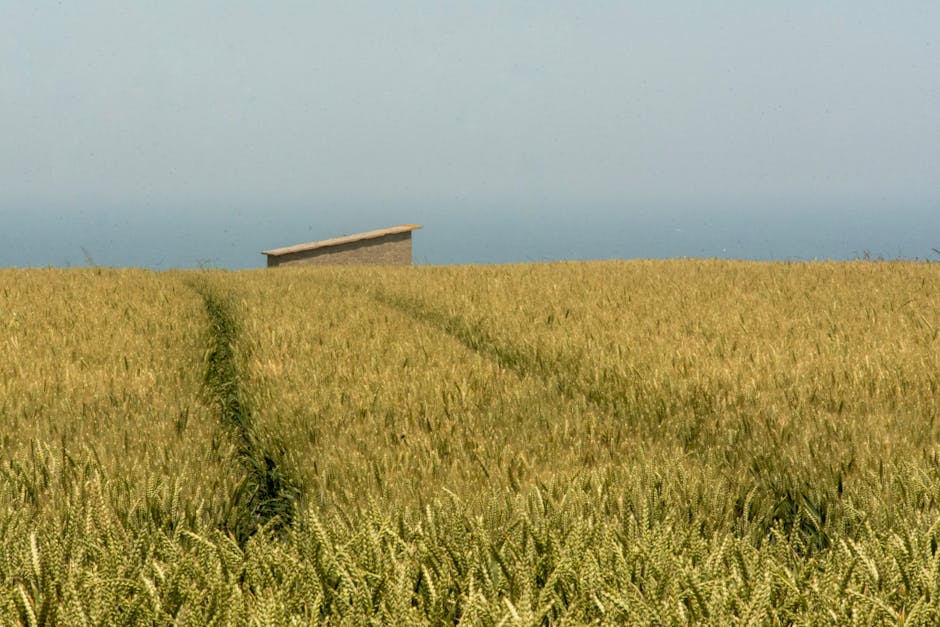 **Trump Tariff Exemption Opens U.S. Market for Premium Indian Farm Exports**