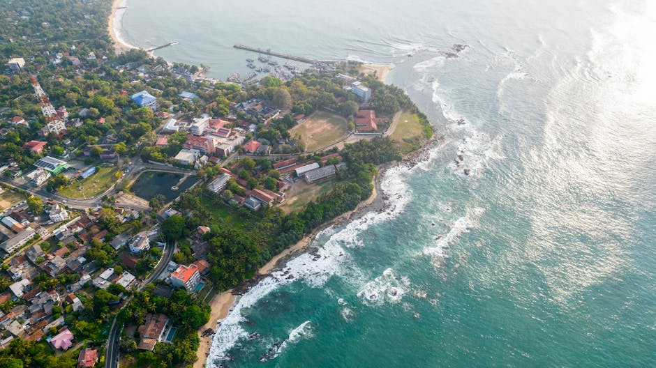 **Pakistan Sweeps Sri Lanka 3-0 in ODI Series: Dominant Display Ahead of Asia Cup**