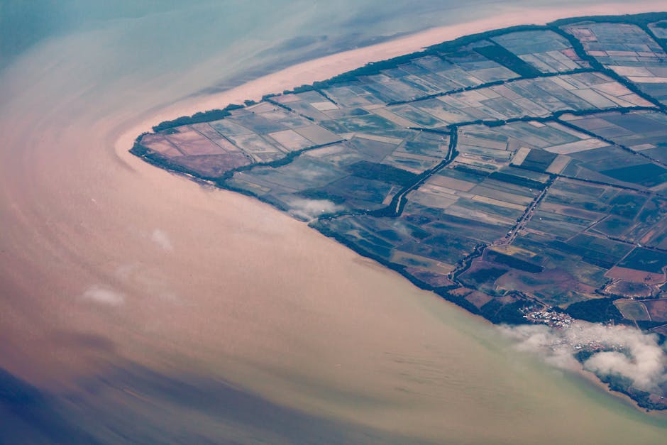 Elon Musk Unveils “Project Solar Shield”: Satellites to Control Earth’s Climate